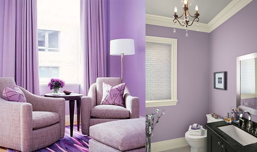 Nội thất màu tím