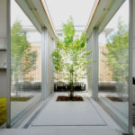 Phong cách thiết kế nhà có giếng trời đầy ấn tượng