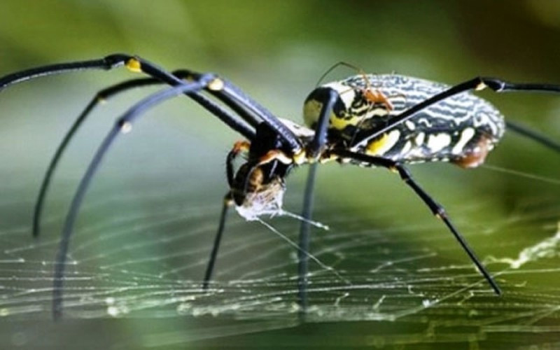 Những vật liệu xây dựng mới xu hướng cho tương lai